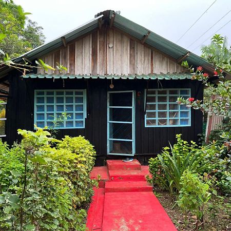 Ferienwohnung Flor De La Selva Puerto Nariño Exterior foto